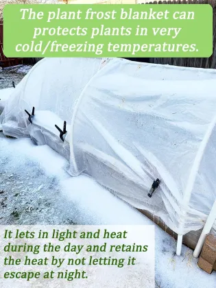 Customized Garden Fabric Cover for Winter Frost and Sun Pest Protection