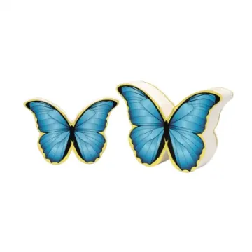 Irregular texture butterfly shaped gift box