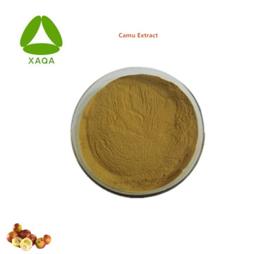 Botanical Extracts Fruit Powder Camu Extract Vitamin C