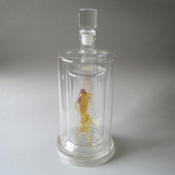 Craft Glass Bottle With Glass Lid (CFB10)