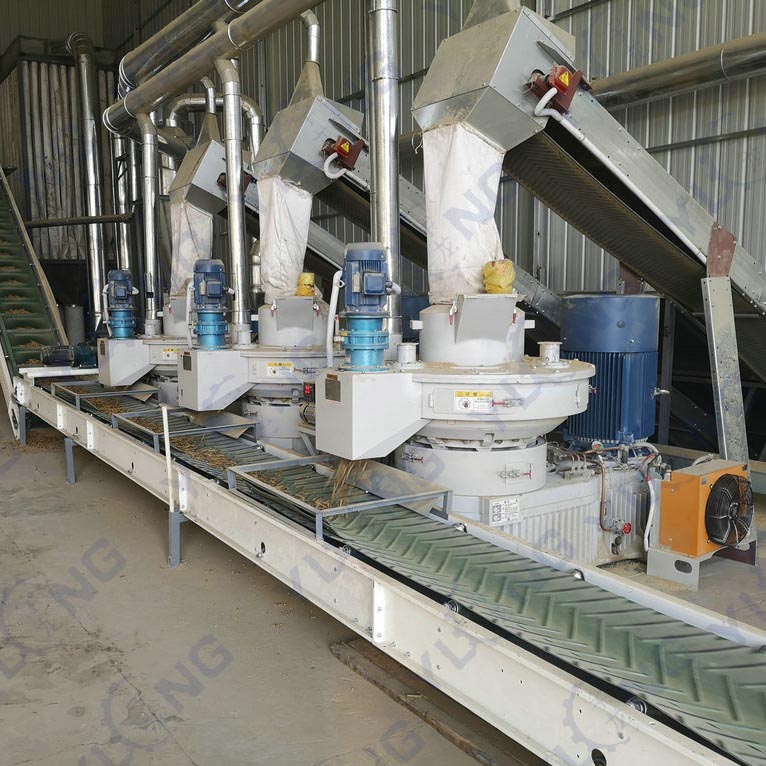 Biomass Sawdust Pelletizing Machine