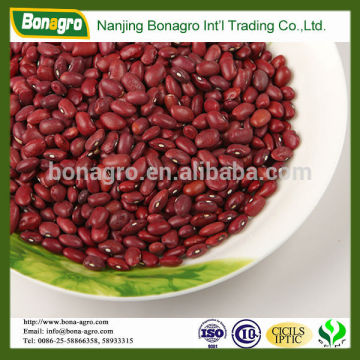 Small red kidney bean