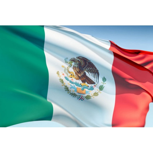 Stock 3X5ft Polyester National Country Mexico Flag