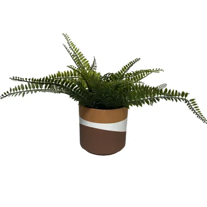 Wholesale Terracotta New Arrival Balcony Courtyard Olla Pot Ceramic Flower Pot