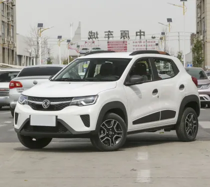 Factory Direct Pure Electric Automobile with Fast Charge Battery for Sale