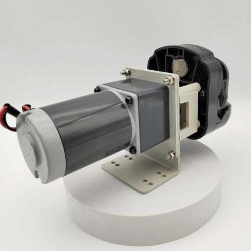 OEM 24V Peristaltic Pump Water Transfer Pump