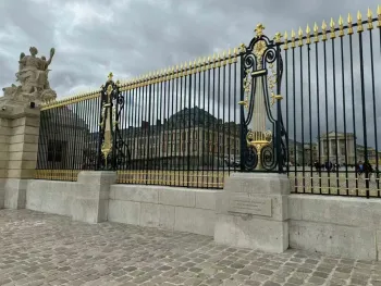 custom ornamental double iron security gates