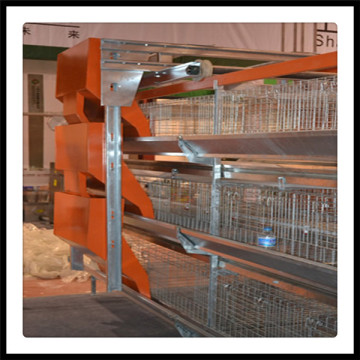 H Type Battery Cages for Broiler Chicken