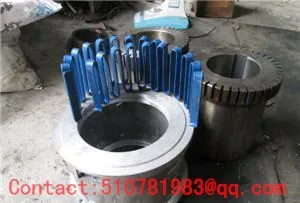 1040T10 Falk Spring Coupling