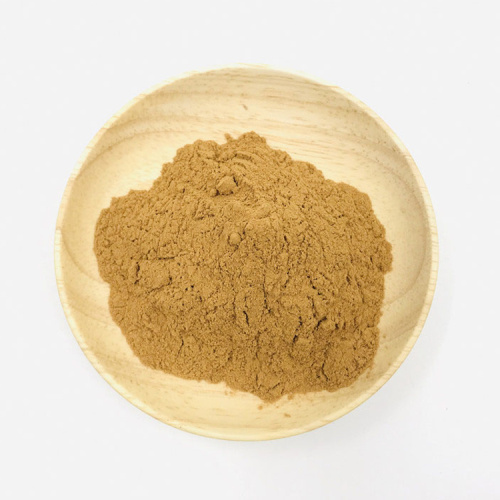 High-quality Salvia miltiorrhiza extract