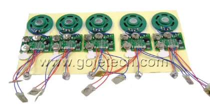 Electronic Voice chip