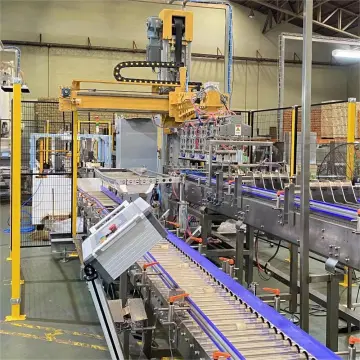 Automatic Cans Bottles Pouches Single Column Carton Packer