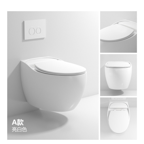 White Finish Wall Hung Water Closet Toilet