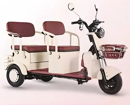 Household commuting electric tricycle