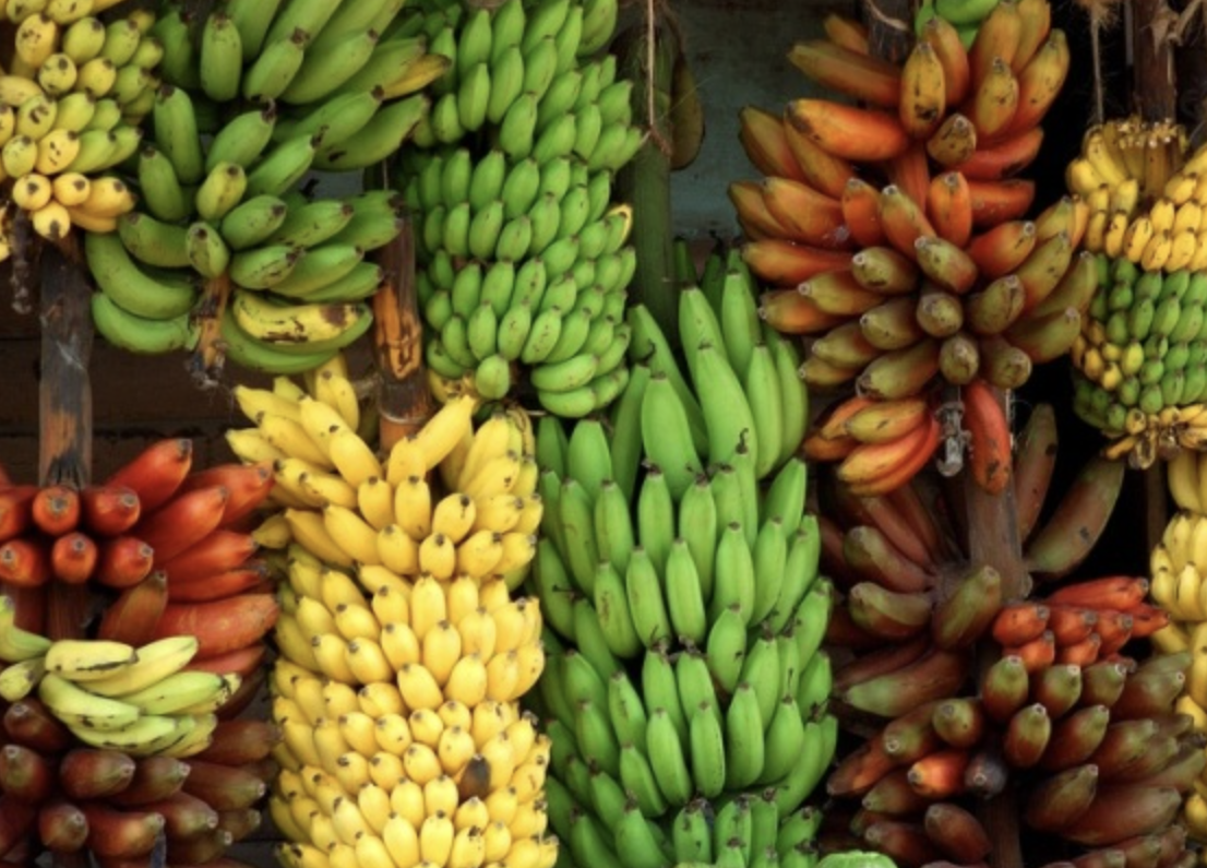 Banana Powder for Beverages