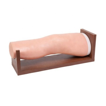 SC-CK20135 Knee Joint Intraarticular Injection Training Manikin