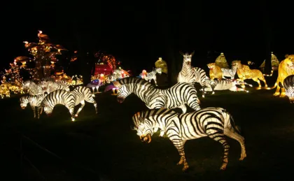 Chinese Dragon-phoenix Shapted Lantern 20