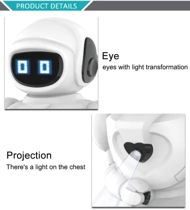 Flytec Electronic Toys: Interactive Singing and Walking Robot with Lights - An Educational Learning Companion