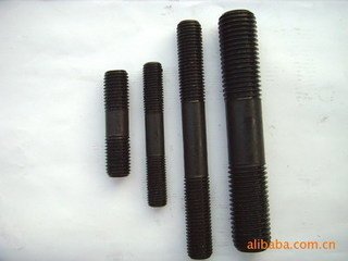Stainless Steel Double Head Bolt (ZW8656)
