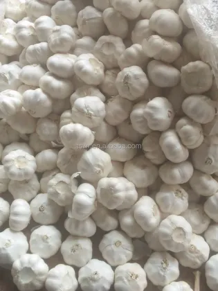 shandong garlic white garlic  fresh garlic