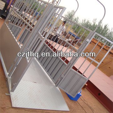 Kingype senstive animal scales for sale