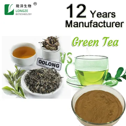 Green Tea Green Tea Extract Powder