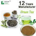 Pure Green tea extract Powder