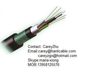 2-288 core GYTA53 fiber optical cable