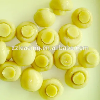 DELICIOUS CANNED WHOLE MUSHROOM (CHAMPIGNON)