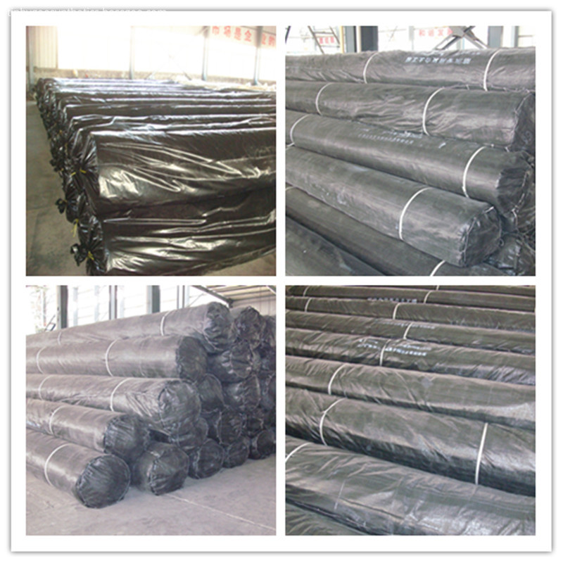supply geomembrane for sea cucumber pond