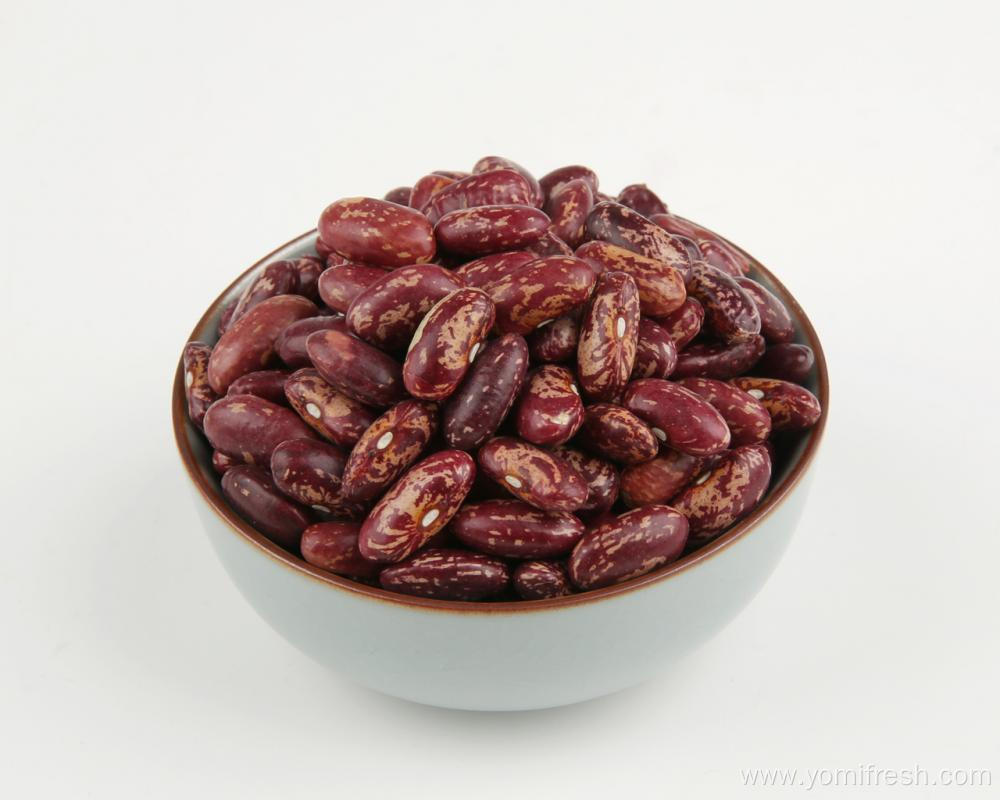 Kidney Beans For Baby