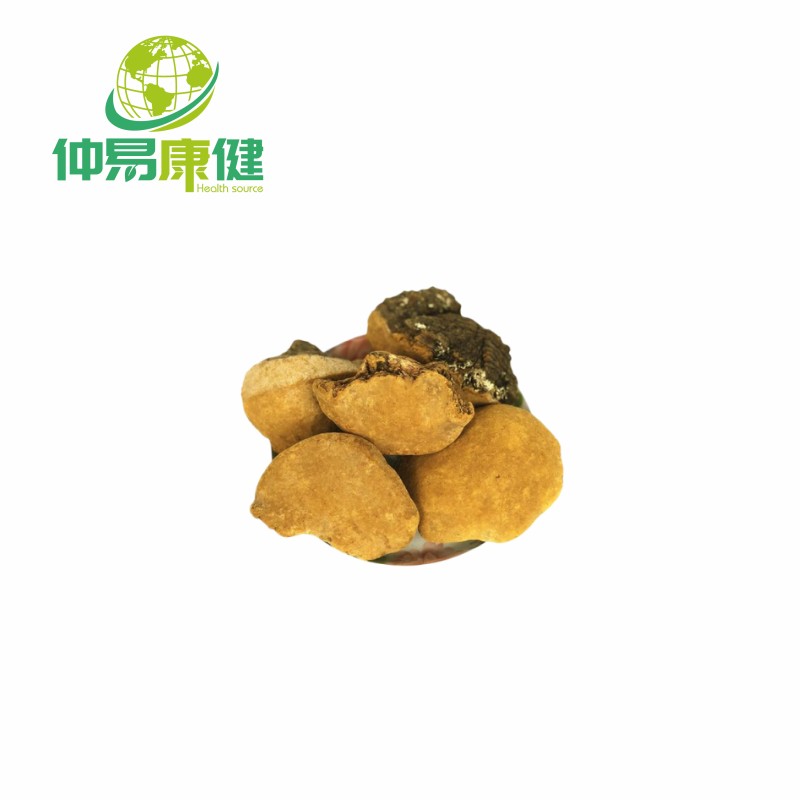 Phellinus Linteus Mushroom Extract