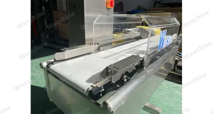 Rice Check Weigher for Food Industry