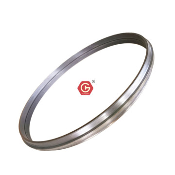 TEREX TR100 Oil Seals 15247216