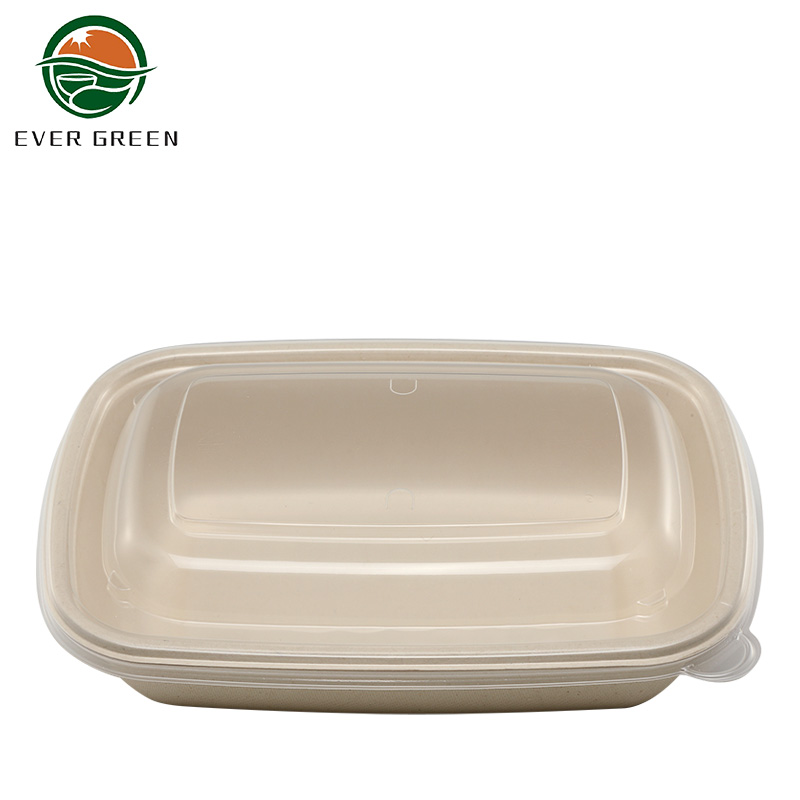 Bio Sugarcane Bagasse Container Lunch Box Πλαστικό καπάκι