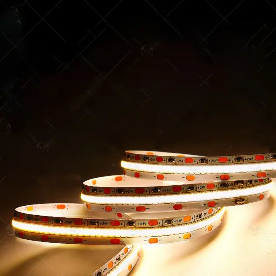 24V 2025 SMD 420Leds Strip Lights 5M/10M High Power High Lumen 10mm Flexible LED Light Strips