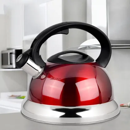 Japanese 304 Stainless Steel Kettle