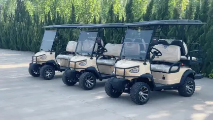 4 Passenager Electric Golf Cart