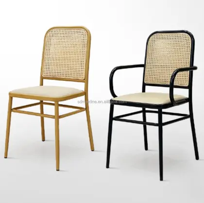 Indoor Outdoor Metal Dining Chairs by Thonet