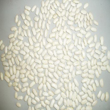 White Kidney Beans