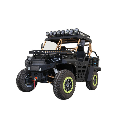 1000 Cargo Farm Quad UTV Dünenbuggy