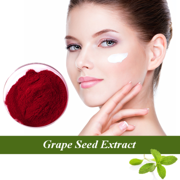 Ginseng Extract Organic Grape Seeds Extract Powder Factory