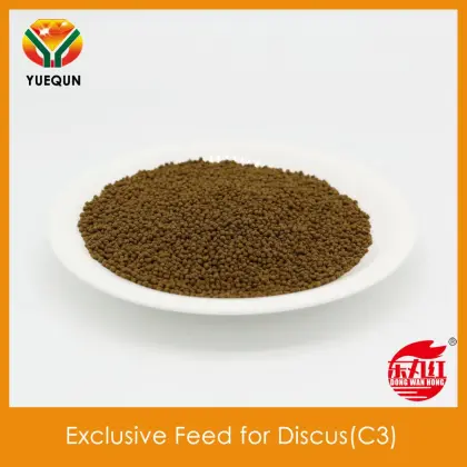 Wholesale Exclusive Feed for Discus C3