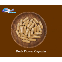 IMAHERB SUPPLY Duck Flower Capsules with good price