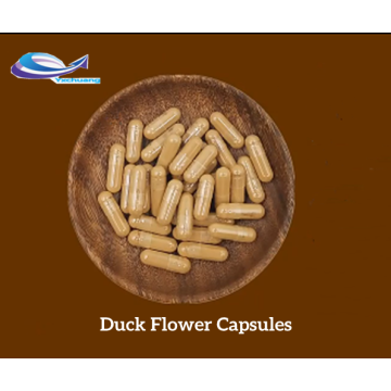 IMAHERB SUPPLY Duck Flower Capsules with good price