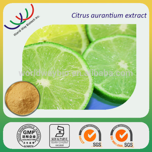 Hesperidin free sample HACCP KOSHER FDA China supplier 95% hesperidin citrus aurantium extract