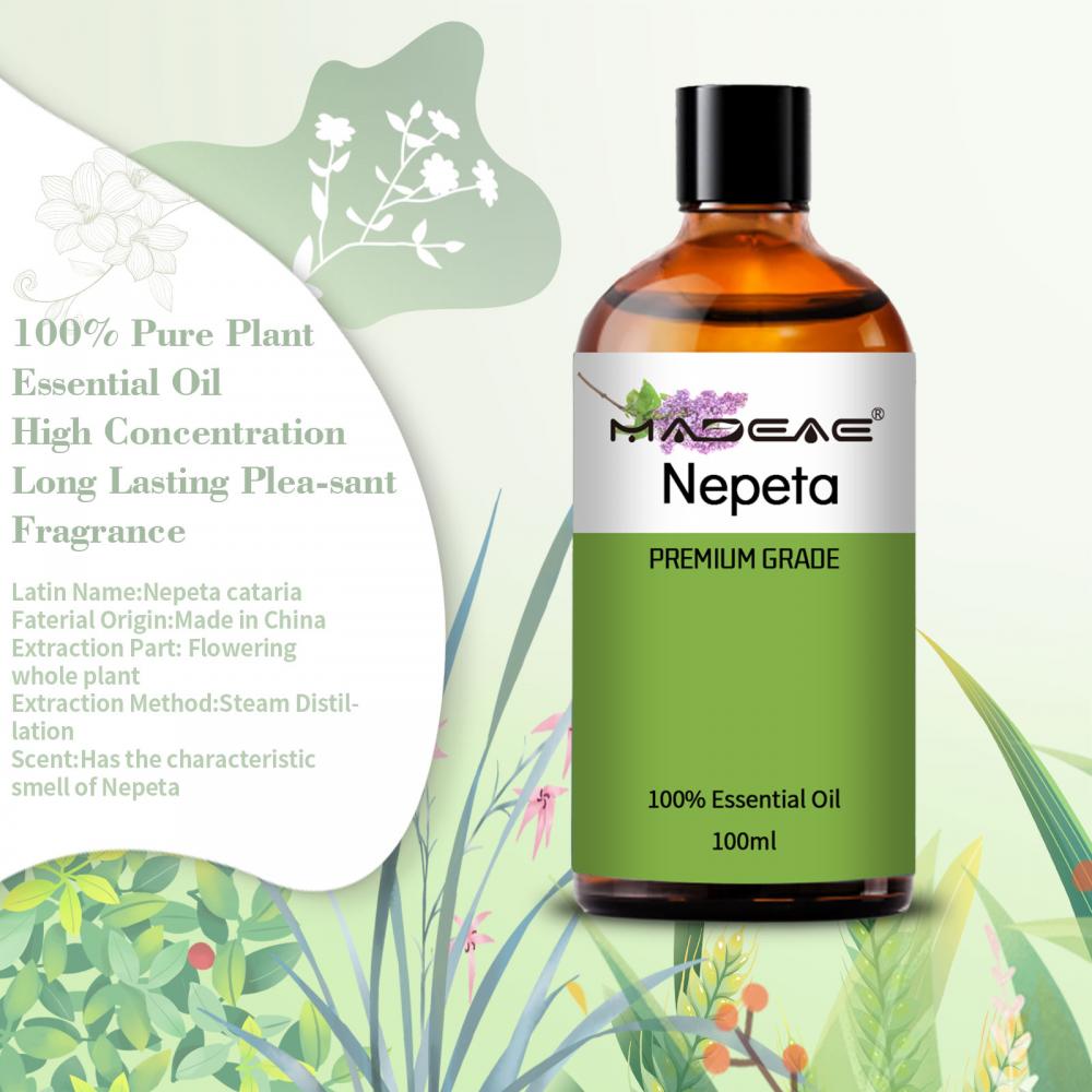 100% Natural And Pure Organic Nepeta Oil Catnip Essential Oil For Calming