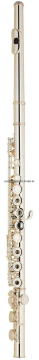 Flute 16 Holes (JFL-321SE)