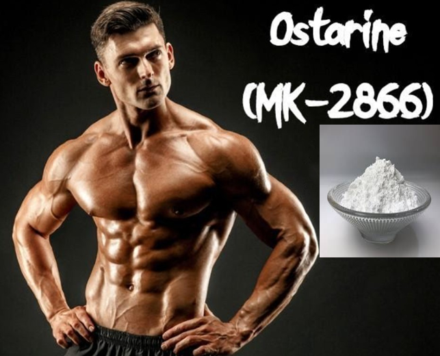 Hot Sell Sarms Остарин MK-2866 Порошок