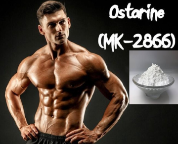Hot sell sarms ostarine MK-2866 powder
